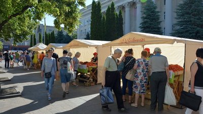 На полуничному ярмарку у Кропивницькому продали 10 тонн ягоди На полуничному ярмарку у Кропивницькому продали 10 тонн ягоди