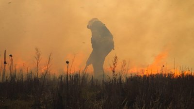 Рятувальник ДСНС гасить пожежу в екосистемі