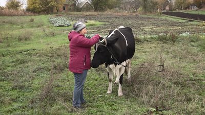 Немає де пасти худобу: на Черкащині учасникам АТО замість орної землі "роздали" сінокоси Немає де пасти худобу: на Черкащині учасникам АТО замість орної землі "роздали" сінокоси