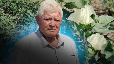 Бавовник зацвів попри спеку та нестачу опадів