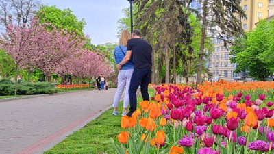 "Маленькі Японія й Голландія". Тюльпани й сакури в Дніпрі – фоторепортаж "Маленькі Японія й Голландія". Тюльпани й сакури в Дніпрі – фоторепортаж