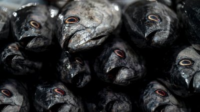 На Одещині зросла кількість випадків отруєння рибою та морепродуктами