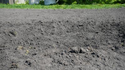 Мешканці села на Білопільщині розказали, як російські військові будинки з городом обстрілювали Мешканці села на Білопільщині розказали, як російські військові будинки з городом обстрілювали