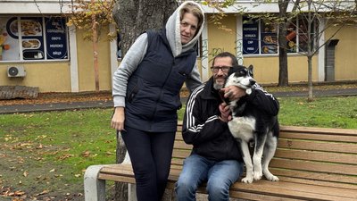У Миколаєві шукали нових господарів котам та собакам