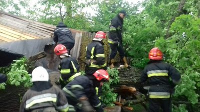На Львівщині дерево впало на дачний будинок: загинула жінка На Львівщині дерево впало на дачний будинок: загинула жінка