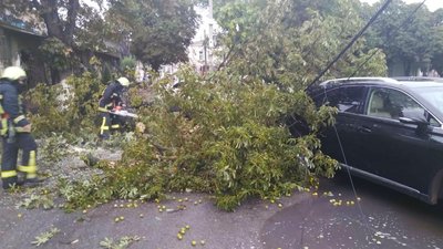 На Тернопільщині вітер зірвав дахи і повалив дерева На Тернопільщині вітер зірвав дахи і повалив дерева