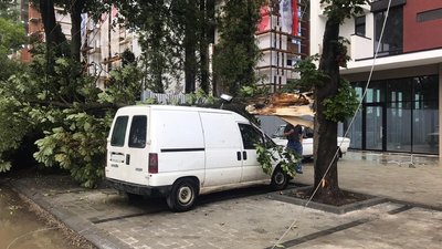В Івано-Франківську впало дерево на авто з людьми В Івано-Франківську впало дерево на авто з людьми