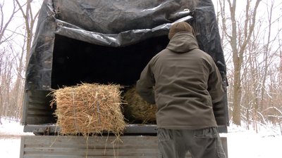 підгодівля тварин на Черкащині підгодівля тварин на Черкащині