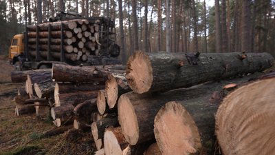 Продаж трофейної техніки та закупівля лісоматеріалів: судять колишніх керівників в/ч