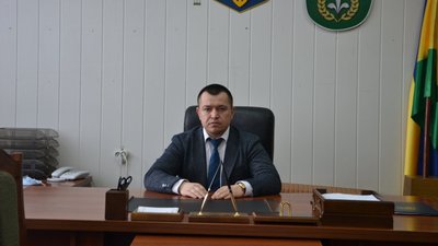 Декларації голів РДА Декларації голів РДА