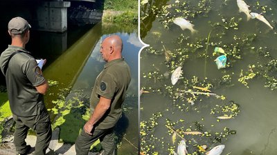 Екологи перевірють воду у річці Устя у межах Рівного