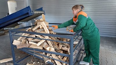 У лісгоспах Житомирщини показали як заготовляють дрова і розповіли за скільки їх можна придбати У лісгоспах Житомирщини показали як заготовляють дрова і розповіли за скільки їх можна придбати