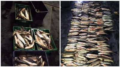 На Донеччині затримали браконьєра з уловом риби на 150 тис. гривень