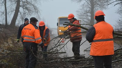 У громаді на Тернопільщині заготовляють дрова для сімей захисників У громаді на Тернопільщині заготовляють дрова для сімей захисників