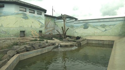 У вінницькому зоопарку з’явилася нова мешканка У вінницькому зоопарку з’явилася нова мешканка