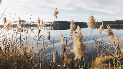 На Вінниччині стартує осінньо-зимова заборона на вилов риби