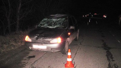 У Козелецькому районі водій легковика на смерть збив велосипедиста
