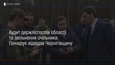 Перевірки та звільнення очільника лісового господарства: результати візиту Гончарука на Чернігівщину