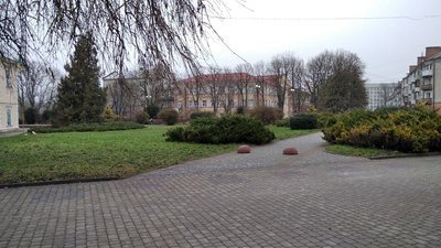 На Тернопільщині за добу COVID-19 виявили у 71 особи