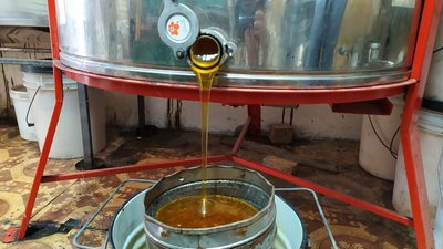 На Миколаївщині знизилася медопродуктивність На Миколаївщині знизилася медопродуктивність