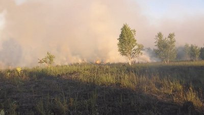 Горить понад 10 000 кв. м. На Львівщині гасять пожежу на торфовищах