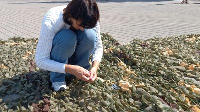 У центрі Луцька плели маскувальні сітки для військових У центрі Луцька плели маскувальні сітки для військових
