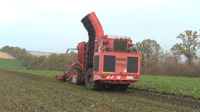 Залишилося 10 гектрів: на Вінниччині завершують збір цукрового буряка Залишилося 10 гектрів: на Вінниччині завершують збір цукрового буряка