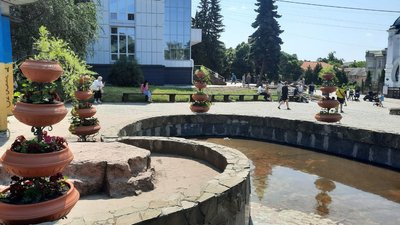 "Повиривали квіти й покидали під ноги". У Кропивницькому невідомі пошкодили клумби