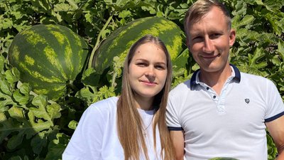 Сім'я Крисюків, кавуни на Волині, вирощування кавунів, купити кавуни