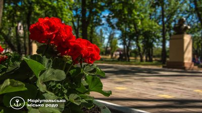 У Міському саду Маріуполя висадили близько 12 тис. квітів У Міському саду Маріуполя висадили близько 12 тис. квітів