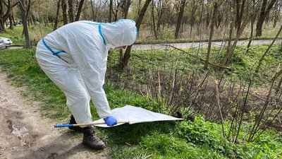 Від початку року понад 20 волинян звернулись до лабцентру щодо укусів кліщів Від початку року понад 20 волинян звернулись до лабцентру щодо укусів кліщів