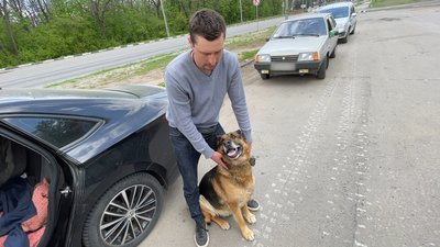 Окупанти обстріляли колону машин, яка евакуювала людей з Руської Лозової під Харковом Окупанти обстріляли колону машин, яка евакуювала людей з Руської Лозової під Харковом