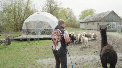 Альпака, будинок для бджіл та електропастух: як підприємець з Чернігівщини організував зоодім за гроші проєкту "Єробота" Альпака, будинок для бджіл та електропастух: як підприємець з Чернігівщини організував зоодім за гроші проєкту "Єробота"