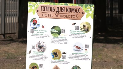 У одній з черкаських шкіл побудували готель для комах