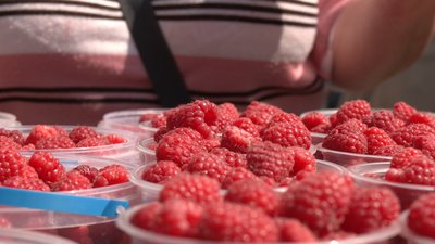 Сезон малини на Тернопільському ринку Сезон малини на Тернопільському ринку