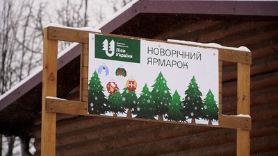 На прикордонні Чернігівщини вирощують та продають новорічні ялинки: де можна їх купити На прикордонні Чернігівщини вирощують та продають новорічні ялинки: де можна їх купити