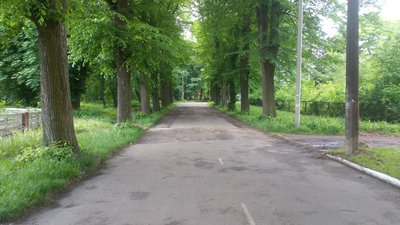 Вулиці в Гощі Вулиці в Гощі