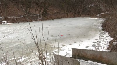 Озеро у Снопківському парку Озеро у Снопківському парку