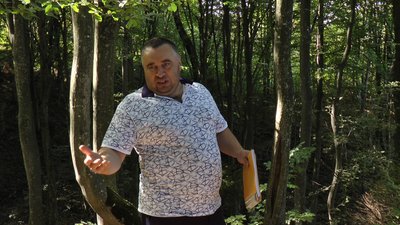 "Війна" за заповідні землі у Карпатах. Відкрито кримінальні провадження "Війна" за заповідні землі у Карпатах. Відкрито кримінальні провадження