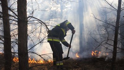 Дніпропетровщина: надзвичайники локалізували лісову пожежу більш ніж на 32 гектарах