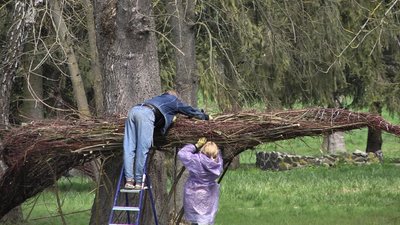 У луцькому парку майструють мистецькі об’єкти з обрізаного гілля