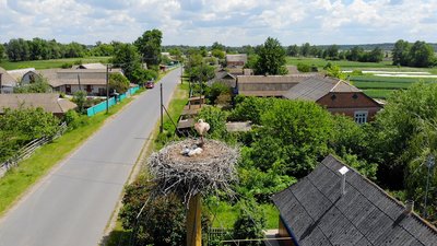 "Лелечий край" на Вінниччині: у селі Слобідка майже пів сотні гнізд "Лелечий край" на Вінниччині: у селі Слобідка майже пів сотні гнізд