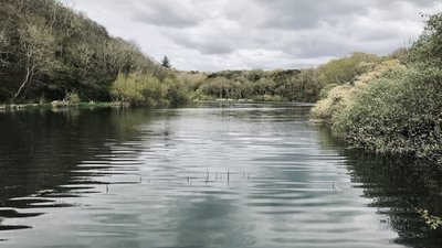 На Франківщині у ставку втопився чоловік