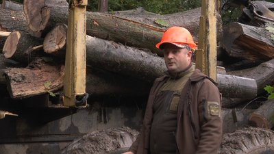 На Івано-Франківщині попит на дрова у лісництвах у 2022 році зріс удвічі На Івано-Франківщині попит на дрова у лісництвах у 2022 році зріс удвічі