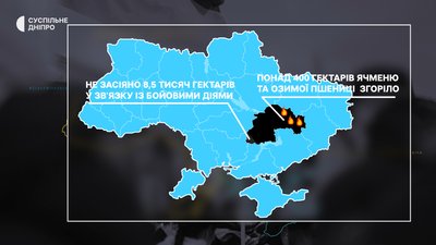 Поля у вогні Поля у вогні