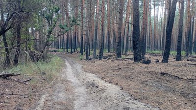 До вечора рятувальники ліквідують загоряння торфів — ДСНС До вечора рятувальники ліквідують загоряння торфів — ДСНС