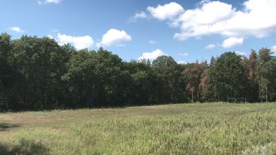 Заростає бур'янами: у Черкасах не можуть знайти відповідального за стадіон Заростає бур'янами: у Черкасах не можуть знайти відповідального за стадіон