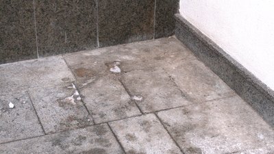 Бездомна біля аптеки Бездомна біля аптеки