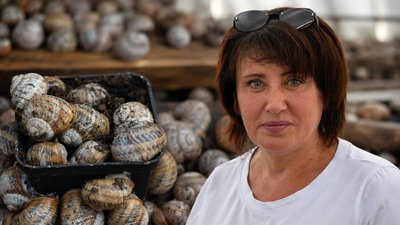 равлики, равликова ферма, вирощування равликів