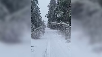 Нечищені дороги на Чернігівщині
